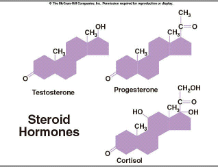 Steroid Hormones