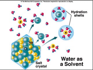How NaCl dissolves in water.