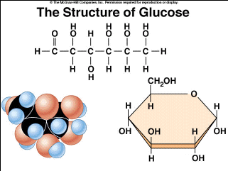 The Structure of Glucose