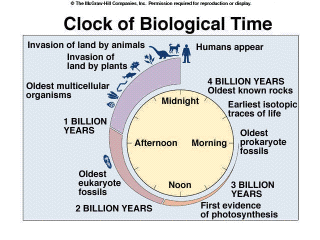 Clock of Biological Time