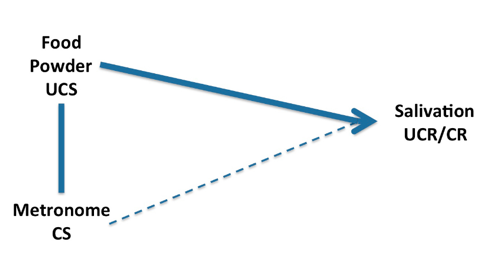 Triangle shaped line arrow connecting text from Metronome CS to Food Powder UCS to Salivation UCR/CR with dotted line from arrow start, Metronome CS, to arrow end, Salivation UCR/CR.