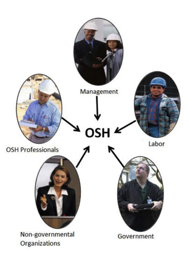 Five key factors impacting OSH: management, labor, government, non-governmental organizations, OSH professionals