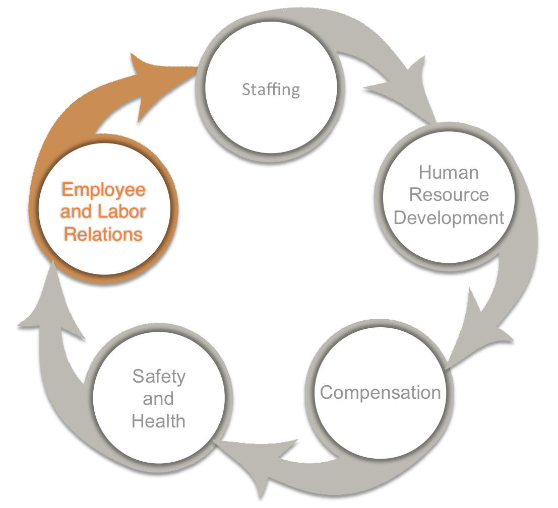 cycle shows employee and labor relations