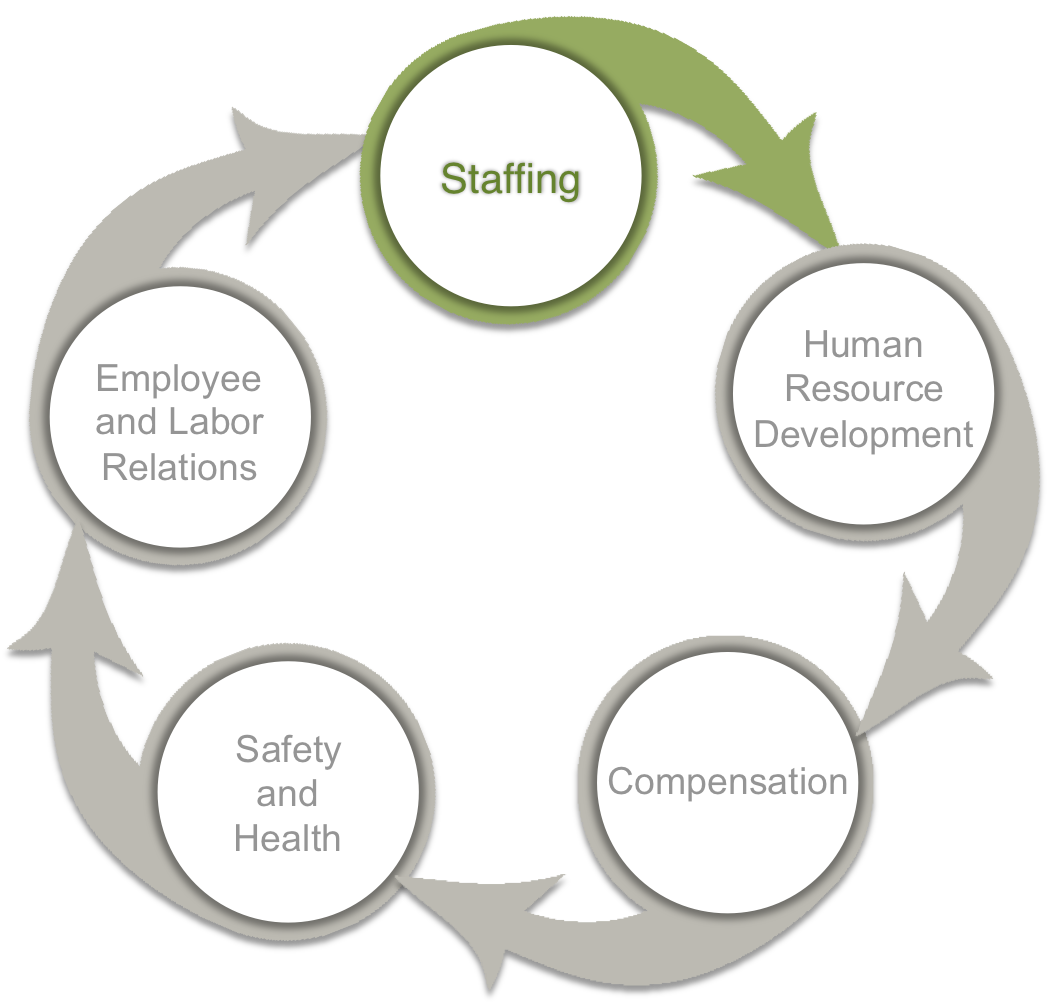 image of cycle, starting with staffing (highlighted) leading to HR to compensation to safety to employee relations and back to staffing