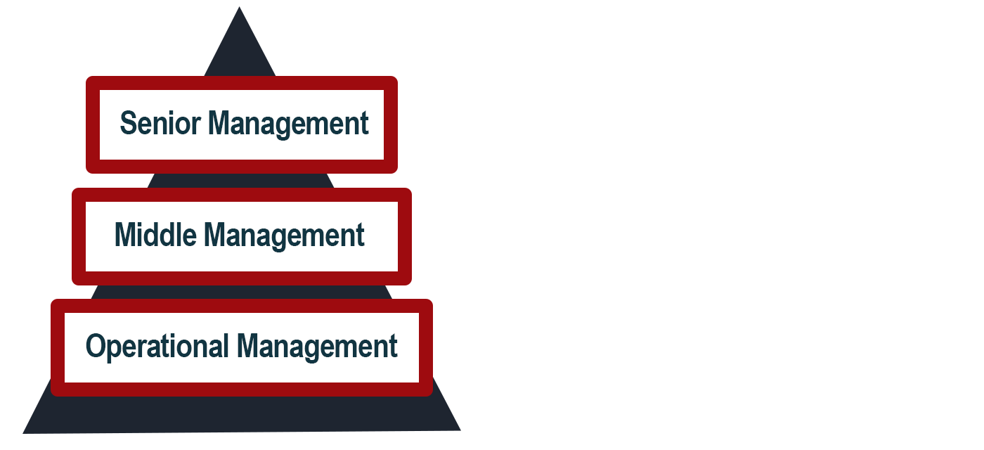 Pyramid with Executive, Managerial and Operational Levels