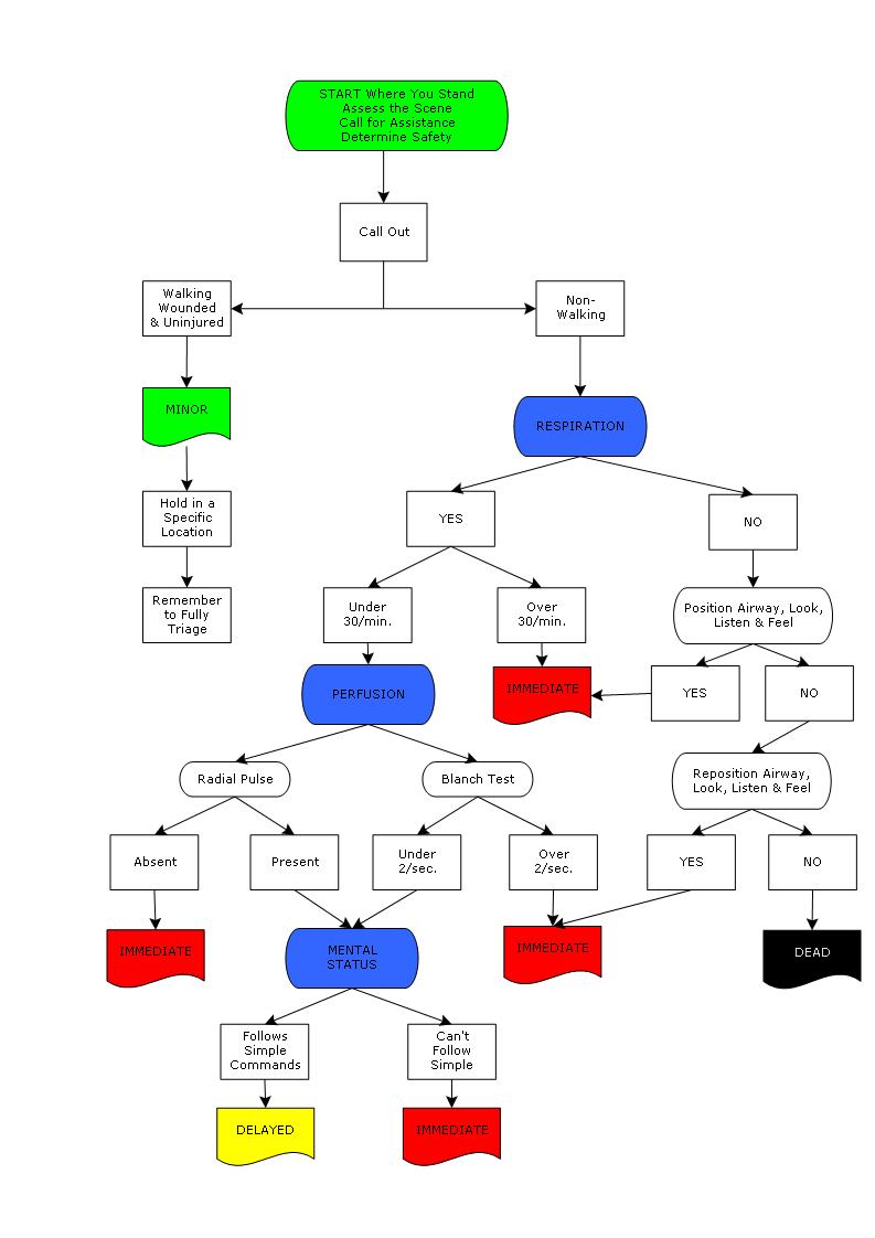 SMART Triage System Flowchart