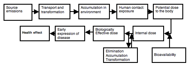 Continuum from Emission of an Agent to a Health Effect
