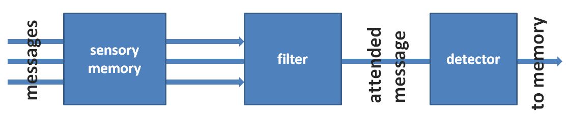 model of sensory filter showing 3 messages going into sensory memory then through a filter and 1 attended message then goes to detector and finally to memory