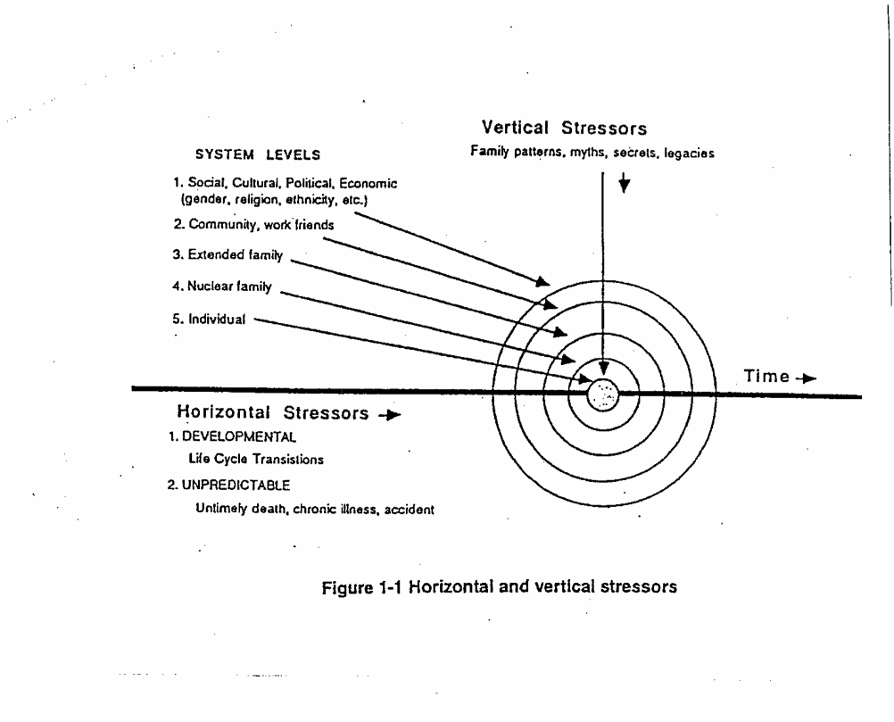 family-life-cycle-carter-mcgoldrick-1999-pdf